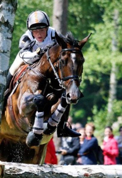 EventingSprung EventingSprung